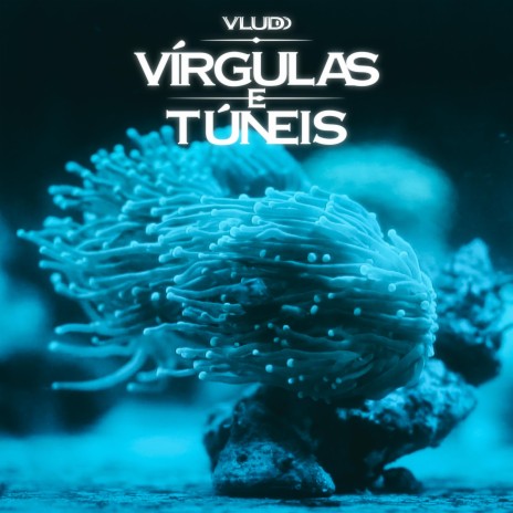 VÍRGULAS E TÚNEIS | Boomplay Music