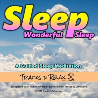 Sleep Wonderful Sleep - Male voice version