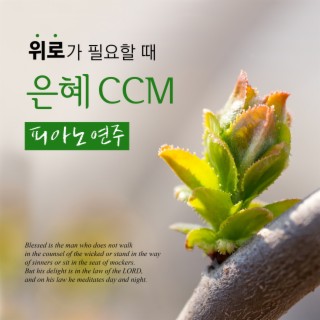 위로가 필요할 때, 은혜 CCM 피아노 연주