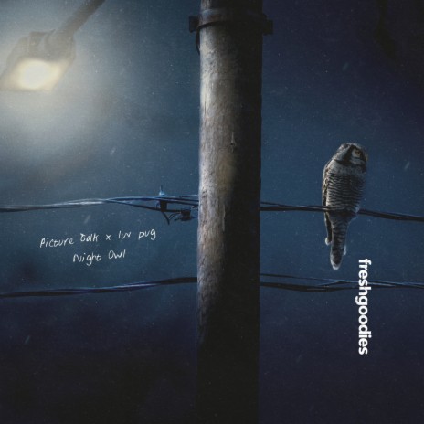 Night Owl ft. luv pug | Boomplay Music