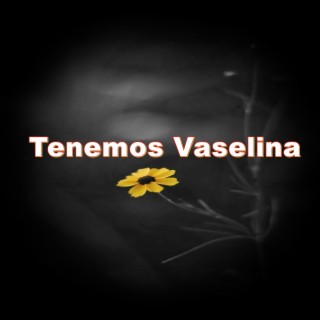 Tenemos Vaselina