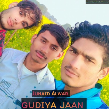 Gudiya Jaan ft. Aslam Singer Mewati | Boomplay Music