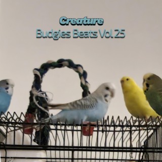 Budgies Beats, Vol. 25