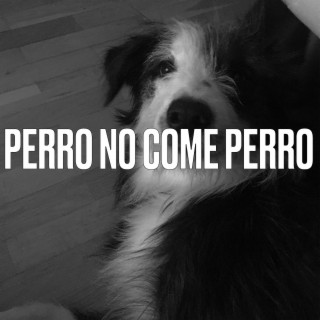 Perro no come perro