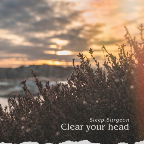 Clear Your Head | Boomplay Music