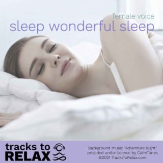 Sleep Wonderful Sleep - Female Voice Sleep Meditation