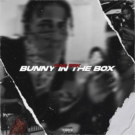 Bunny In The Box | Boomplay Music