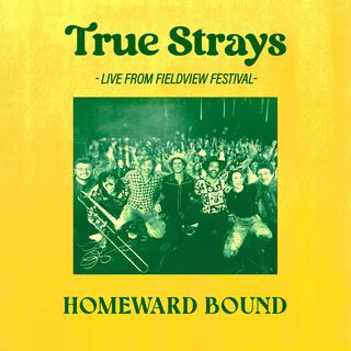 Homeward Bound (LIVE FROM FIELDVIEW FESTIVAL)