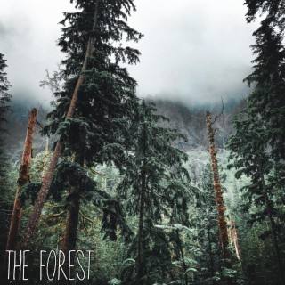 The Forest lyrics | Boomplay Music