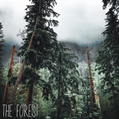 The Forest | Boomplay Music