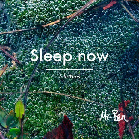 Sleep Now | Boomplay Music