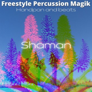 Shaman - Handpan and Beats