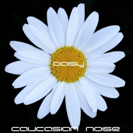 Daisy | Boomplay Music