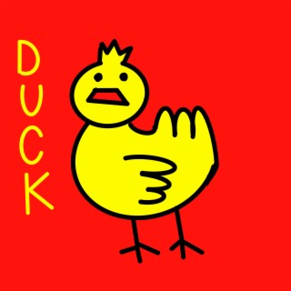 8bit data duck