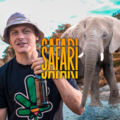 Safari (Radio Edit) | Boomplay Music