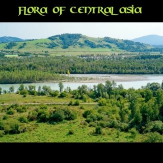 Flora of Central Asia