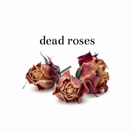 Dead Roses | Boomplay Music