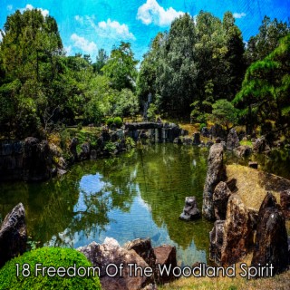 !!!! 18 Freedom Of The Woodland Spirit !!!!