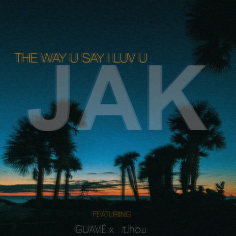 WAY I SAY I LUV U ft. GUAVÉ & t.hou | Boomplay Music