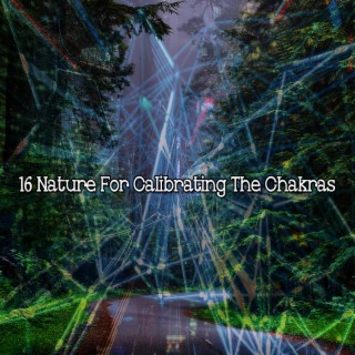 !!!! 16 Nature For Calibrating The Chakras !!!!