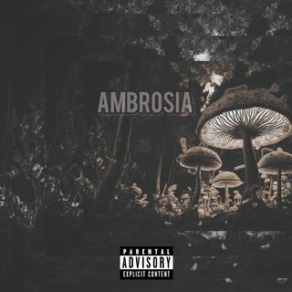 Ambrosia