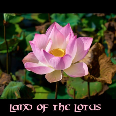 Yellow Lotus