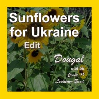 Sunflowers for Ukraine EDIT (Short Version) lyrics | Boomplay Music