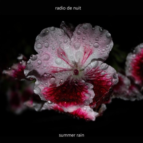 Summer Rain (Extended Mix) | Boomplay Music