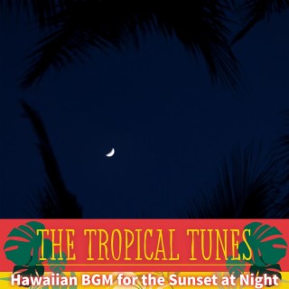 Hawaiian Bgm for the Sunset at Night