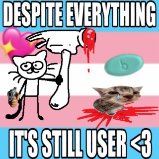 Despite Everything, It's Still User