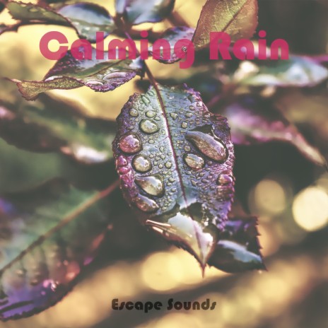 Nature Rain Sound | Boomplay Music