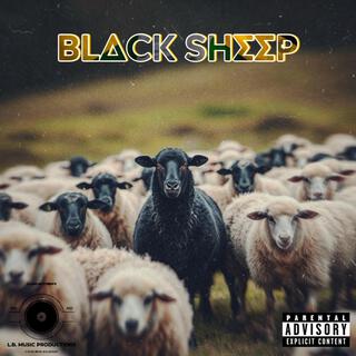 Black Sheep