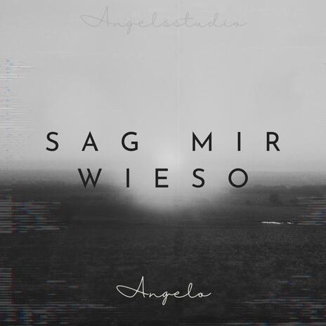 Sag mir wieso | Boomplay Music