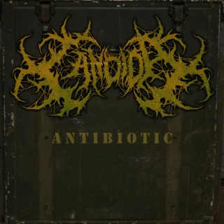 ANTIBIOTIC