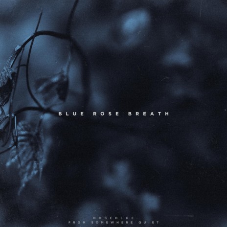 Blue Rose Breath ft. From Somewhere Quiet | Boomplay Music