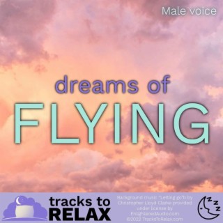 Dreams Of Flying - A Guided Sleep Meditation