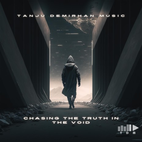 Chasing the Truth in the Void | Boomplay Music