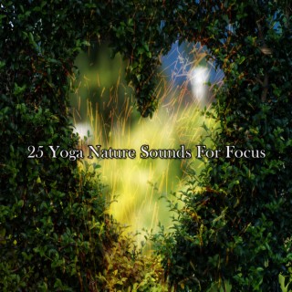!!!! 25 Yoga Nature Sounds For Focus !!!!