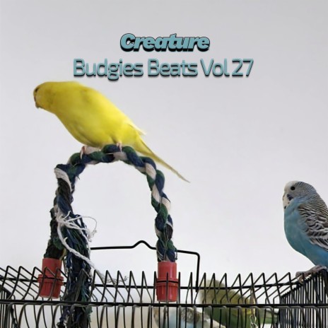 Budgies Beats XVII (Vol XXVII)