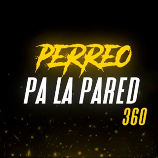 Perreo Pa La Pared 360