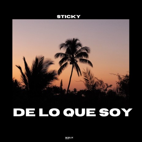 De Lo Que Soy | Boomplay Music