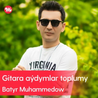 Gitara aýdymlar toplumy