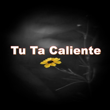 Tu Ta Caliente | Boomplay Music