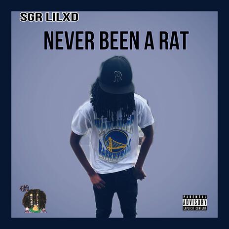 Never been A Rat | Boomplay Music