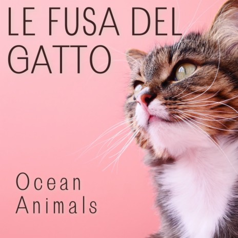 Te Juré - Ocean Animals MP3 download | Te Juré - Ocean Animals Lyrics |  Boomplay Music