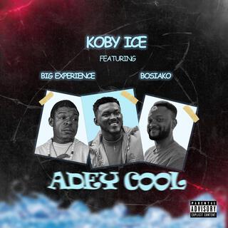 Adey cool ft. Bosiako & Experience lyrics | Boomplay Music