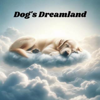 Dog's Dreamland: Sleepy Paws: Lullabies for Your Four-Legged Friend, Canine Relaxation, Stress-Free Doggy Days