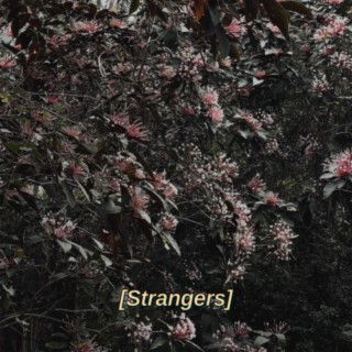 Strangers lyrics | Boomplay Music