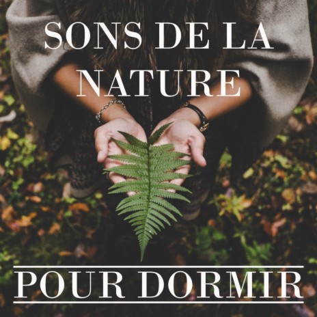 Bruit de la Nature: Pluie avec Tonnerre ft. Nature Sounds & Sons de la Nature by Beneluxa | Boomplay Music