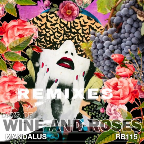 Days of Wine and Roses (Bassique Musique Remix) | Boomplay Music